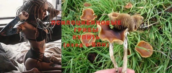 молекула духа Бородино