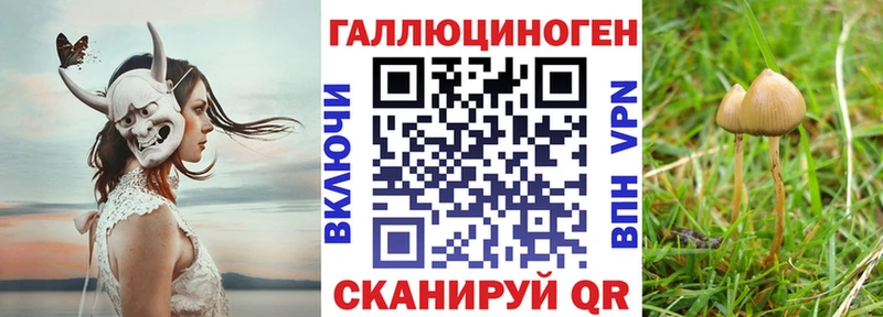 Галлюциногенные грибы прущие грибы  MEGA tor  Вышний Волочёк 